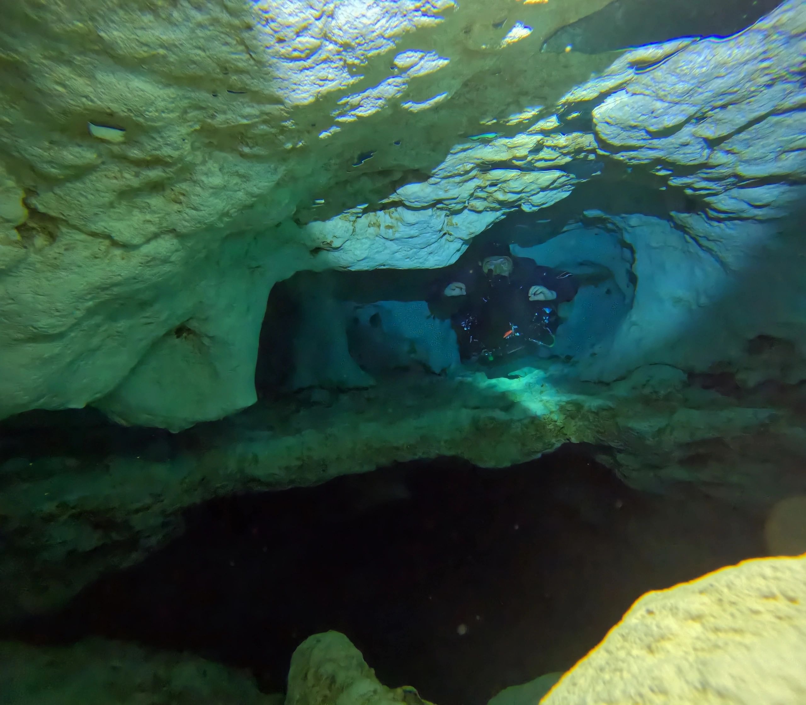 Underwater diving scene Philippines